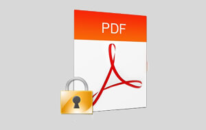 La sicurezza dei documenti pdf